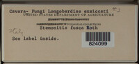 Stemonitis fusca image